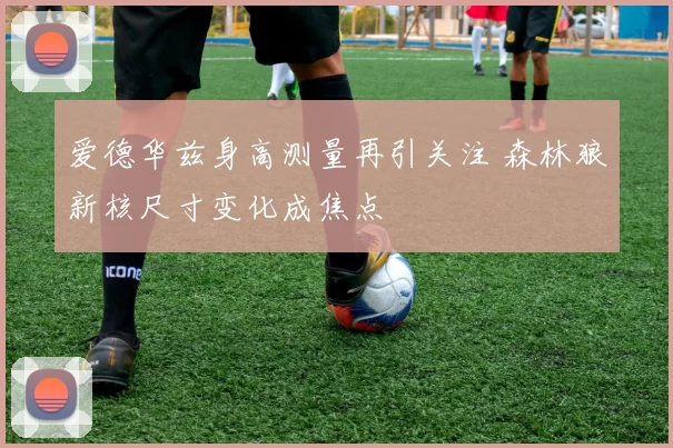 爱德华兹身高测量再引关注 森林狼新核尺寸变化成焦点